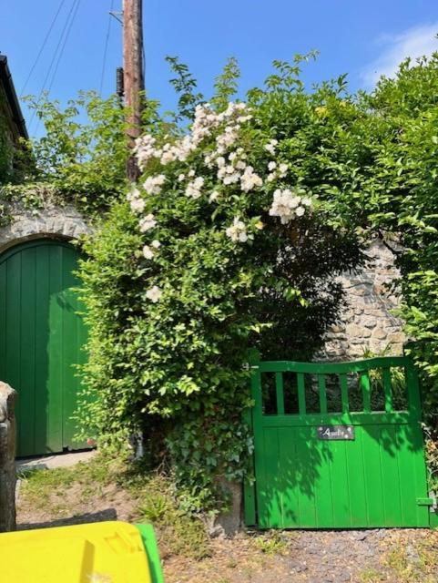 Amelie Cottage Beaumaris Exterior photo